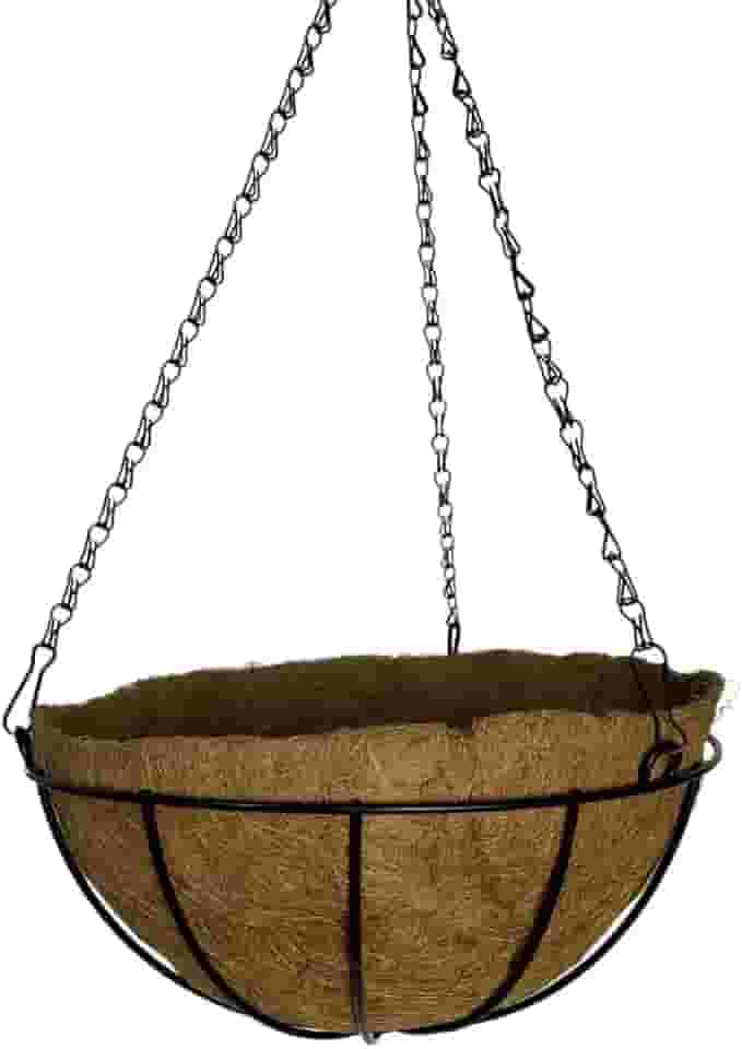 Vaso de Fibra de Coco 20cm de Plantas Suspenso com Corrente (1, 20cm)