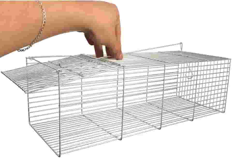 Ratoeira Armadilha Pegar Rato Grande Camundongo Gaiola 40cm Roedores Captura Eficiente Para Controle De Pragas Ambientes Internos E Externos