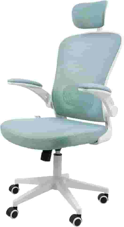 Cadeira Ergonômica Eurynom, Giratória, para Escritório e Home Office, com Encosto Reclinável (Modo Balanço), Braços Pivotantes, Apoio de Cabeça, Apoio Lombar (Azul Esverdeado)