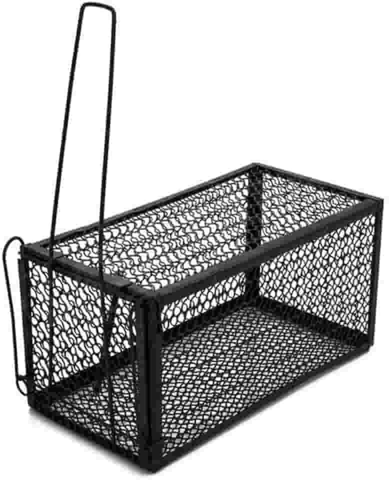 Ratoeira Gaiola Grande Armadilha Pega Roedores Rato Ratazana Camundongos Captura