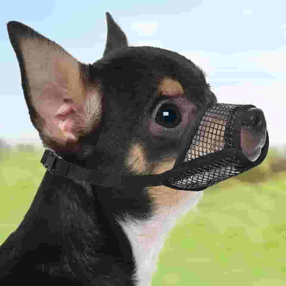 Focinheira ajustável para cães para controle de mordida - design de malha macia permite respirar e beber, tamanho pequeno em preto