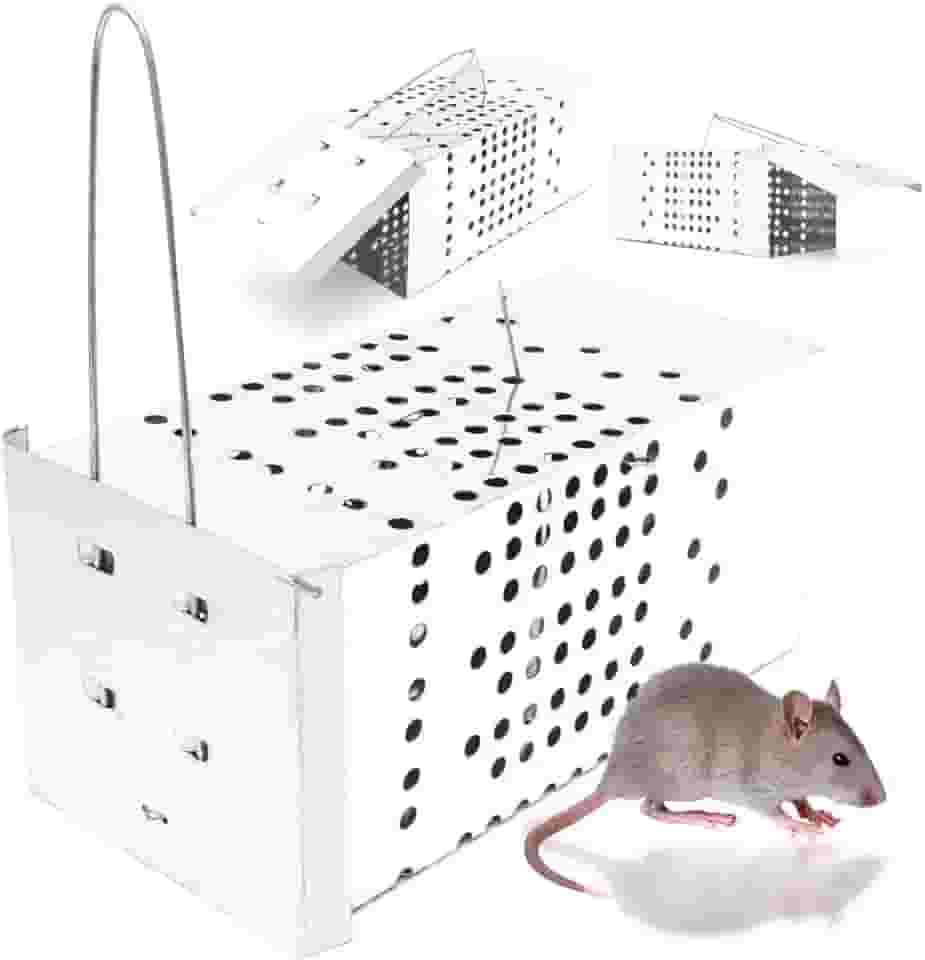 Ratoeira De Gaiola Armadilha Contra Ratos - Alta Pressão Top