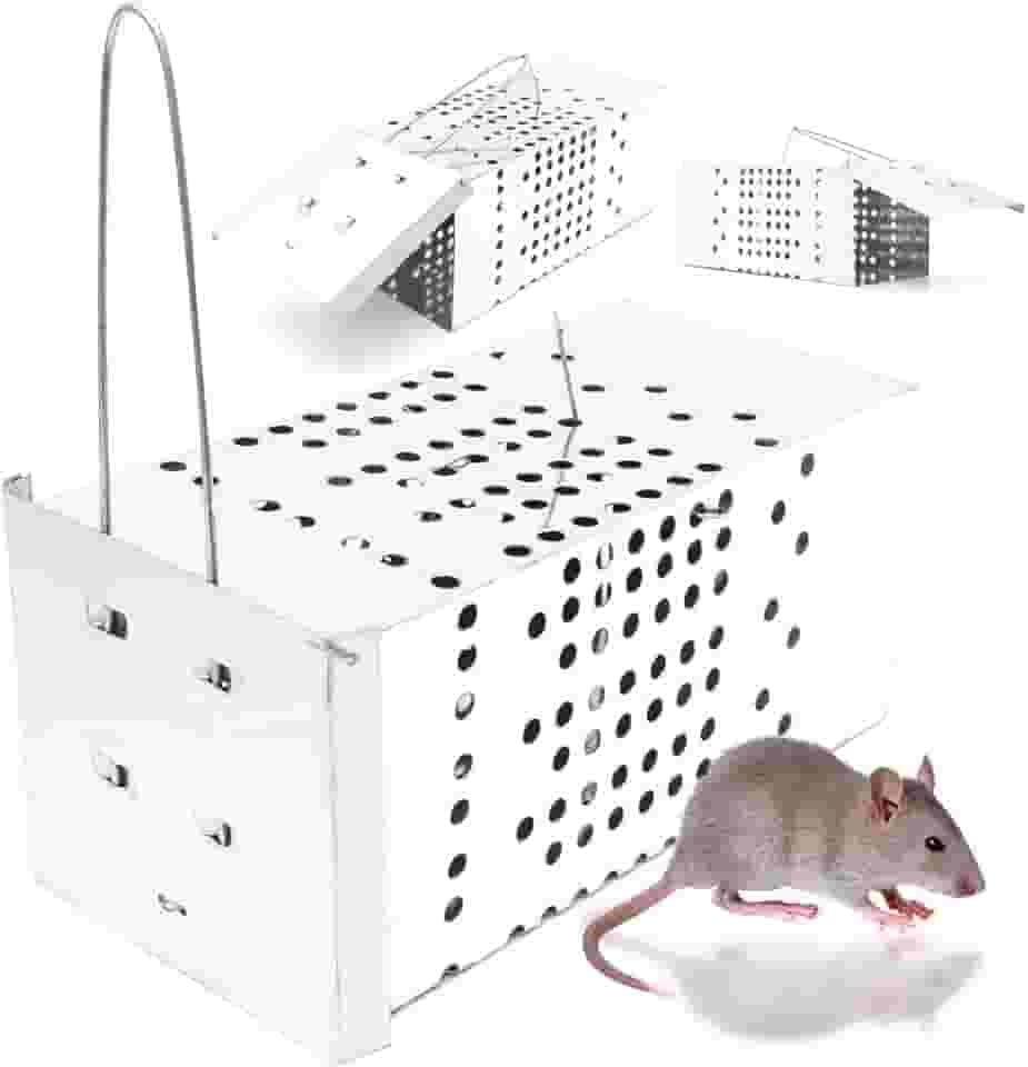 Ratoeira De Gaiola Armadilha Contra Ratos - Alta Pressão Top