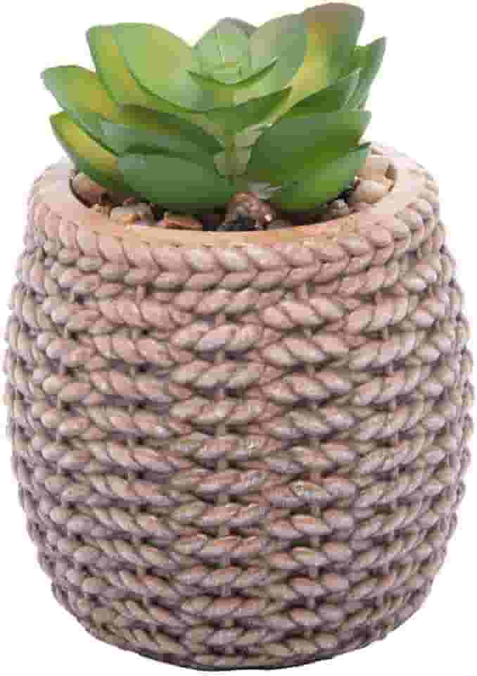 WOLFF Cachepot de Cerâmica com Suculenta Sisal 7,5cm x 7,5cm X 10,5cm