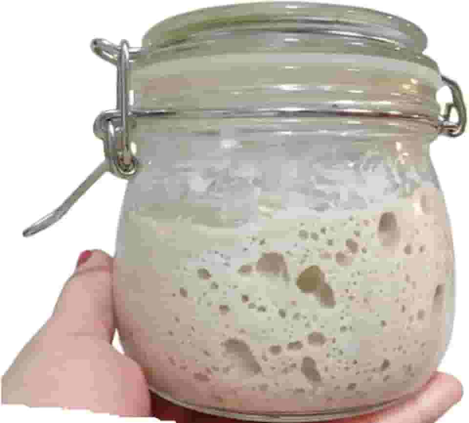 Levain Fermento Natural Desidratado (p/pães, Pizza Panetone)