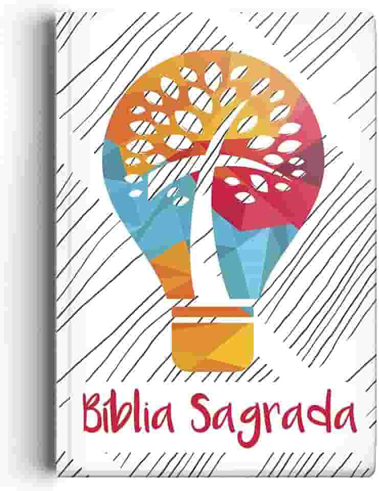 Bíblia NVI Letra normal - luz do mundo