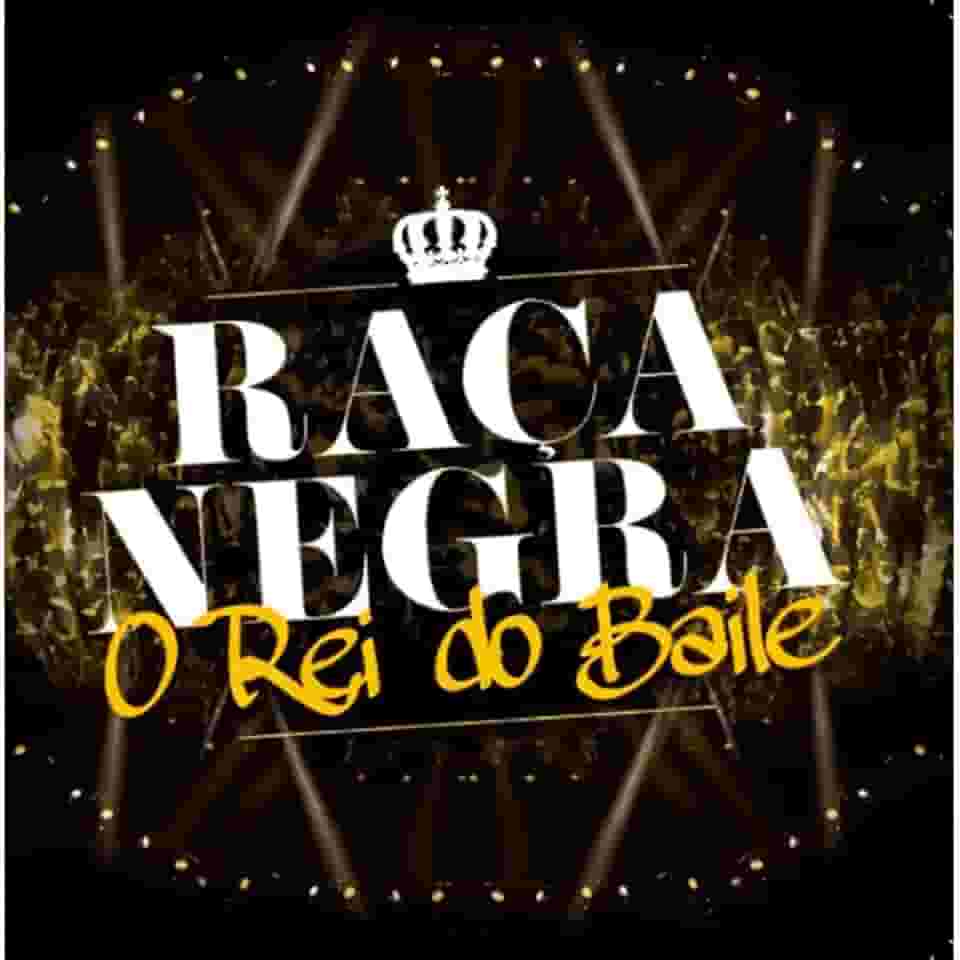 Raça Negra - O Rei Do Baile [CD]