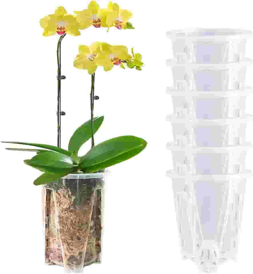 Pote de orquídeas pacote com 6, vasos de orquídeas transparentes de 12 cm com furos, vaso de orquídeas para replantação, vaso de flores interno e externo, vaso de orquídeas