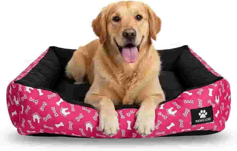 Cama Pet para Cães e Gatos, Impermeável, Médio 50x50x15cm, Para Raças Médias, Lavável com Zíper, Espuma Soft e Flocos, Fêmea, Quadrado, Estampa Animal