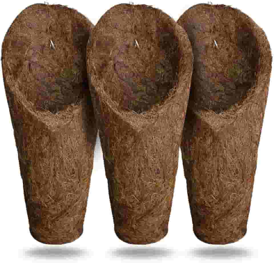 Kit 3 vaso para Orquídeas em Fibra de Coco modelo Concha, tamanho "M", Resistente à Água, Leve e Durável, para Jardinagem e Decoração