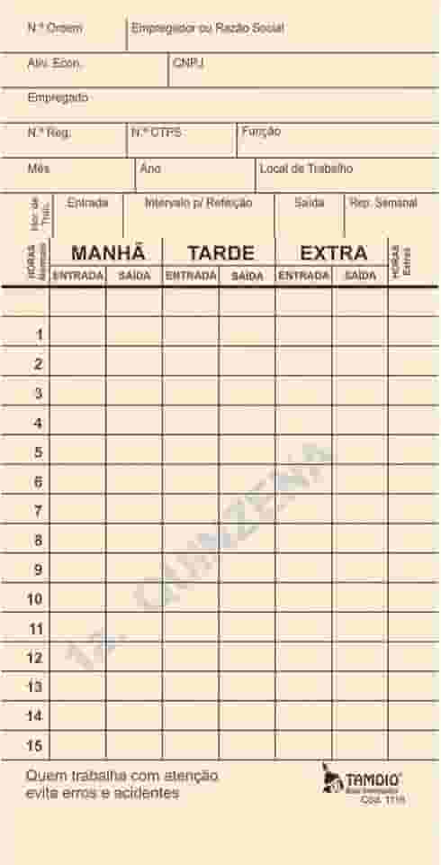 Cartao De Ponto Palha Diponto C/Cnpj Pacote Com 100-85877