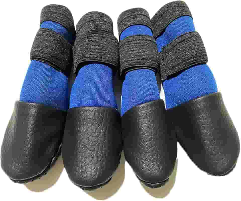 Sapatinho pet G - Azul