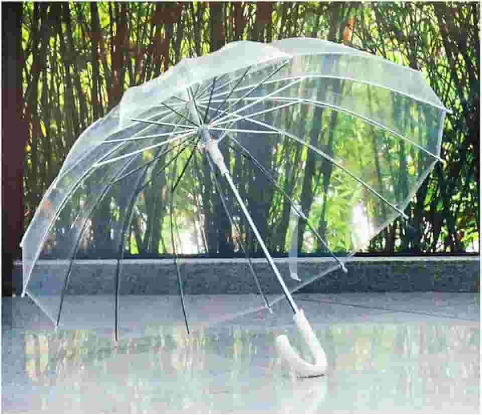 Guarda chuva transparente 8 varetas unisex