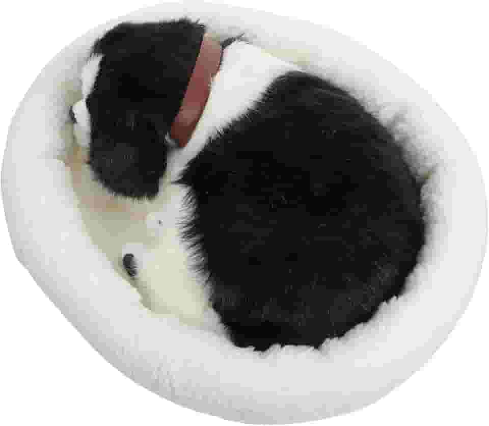 Pelúcia realista para cachorro dormindo, Border Collie, Brinquedo de pelúcia interativo, Alívio da ansiedade de filhotes