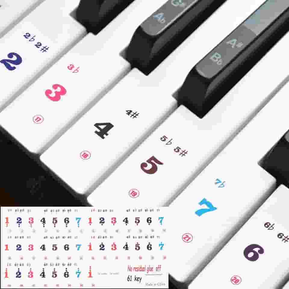 Generic Adesivos de teclado de piano, 61 teclas numeradas adesivo de piano guia removível para iniciantes aprendendo