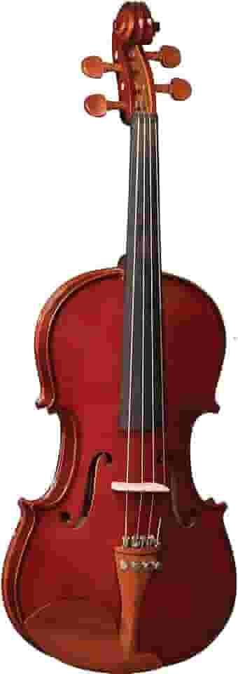 VIOLINO EAGLE VE441 4/4