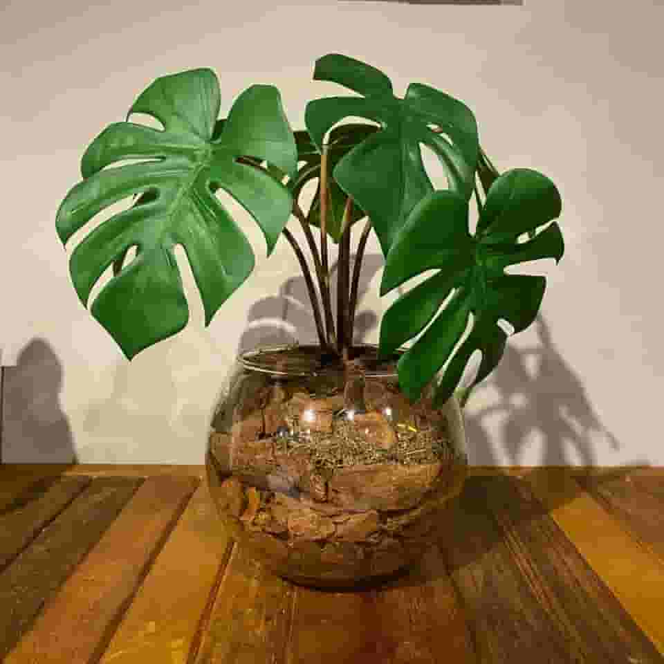 Arranjo Centro de Mesa Mini Costela de Adão Artificial Completo