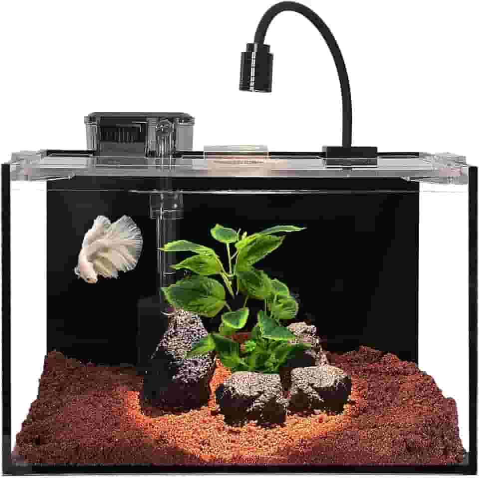 Nano tanque de peixes de 3 galões com filtro, luz LED, cascalho, pedra, aquascape, aquário para iniciantes, tanque de peixes Betta (30 x 18 x 20 cm, 11 L)