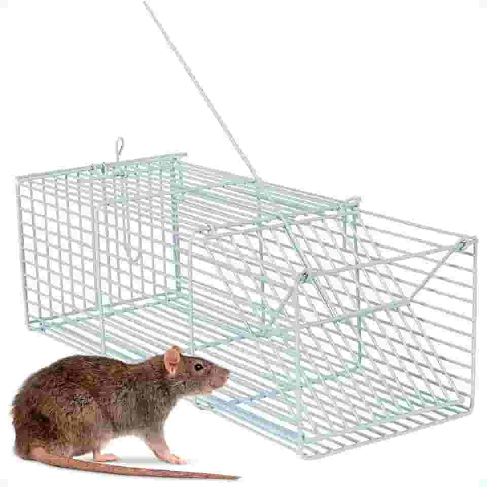 ARMADILHA RATOEIRA ARAMADA PARA CAPTURAR RATOS ROEDORES E CAMUNDONGOS