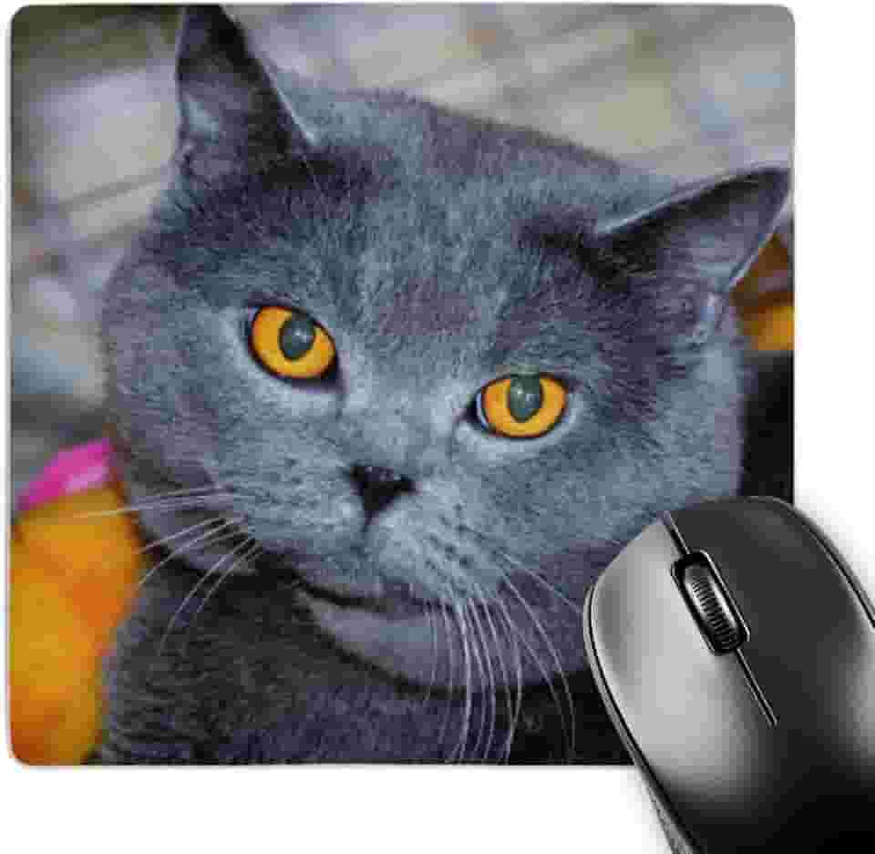 3dRose Mouse pad LLC 20 x 20 x 0,63 cm, gato de cabelo curto britânico (mp_24996_1)