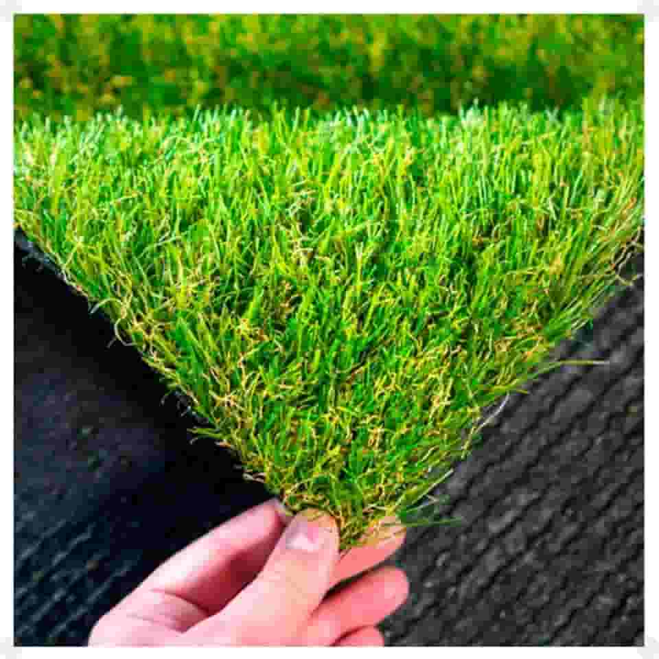 Grama Sintética 30mm Pet Semelhante Natural BicolorSoft (0,5 x 1)