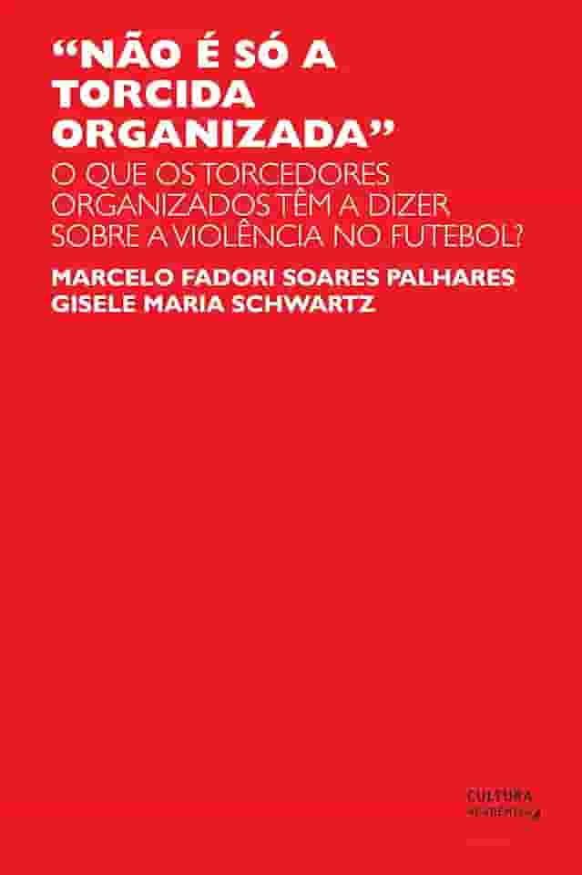 'Não é só a torcida organizada': o que os torcedores organizados têm a dizer sobre a violência no futebol?