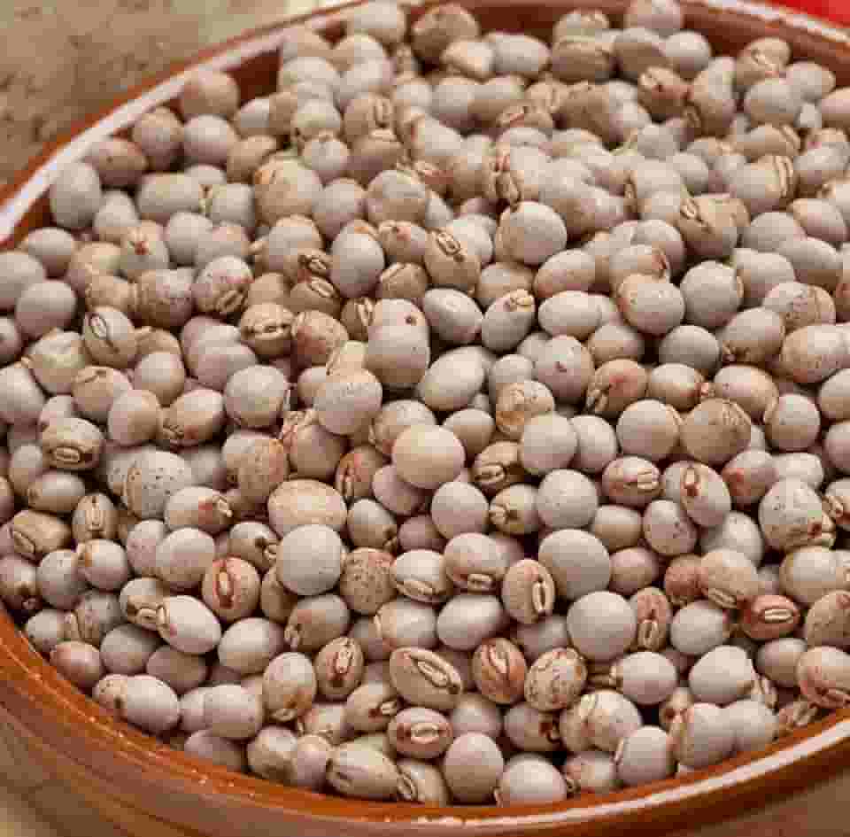 Feijão Andu para Consumo,Plantio,Natural do Norte de Minas Gerais 500g