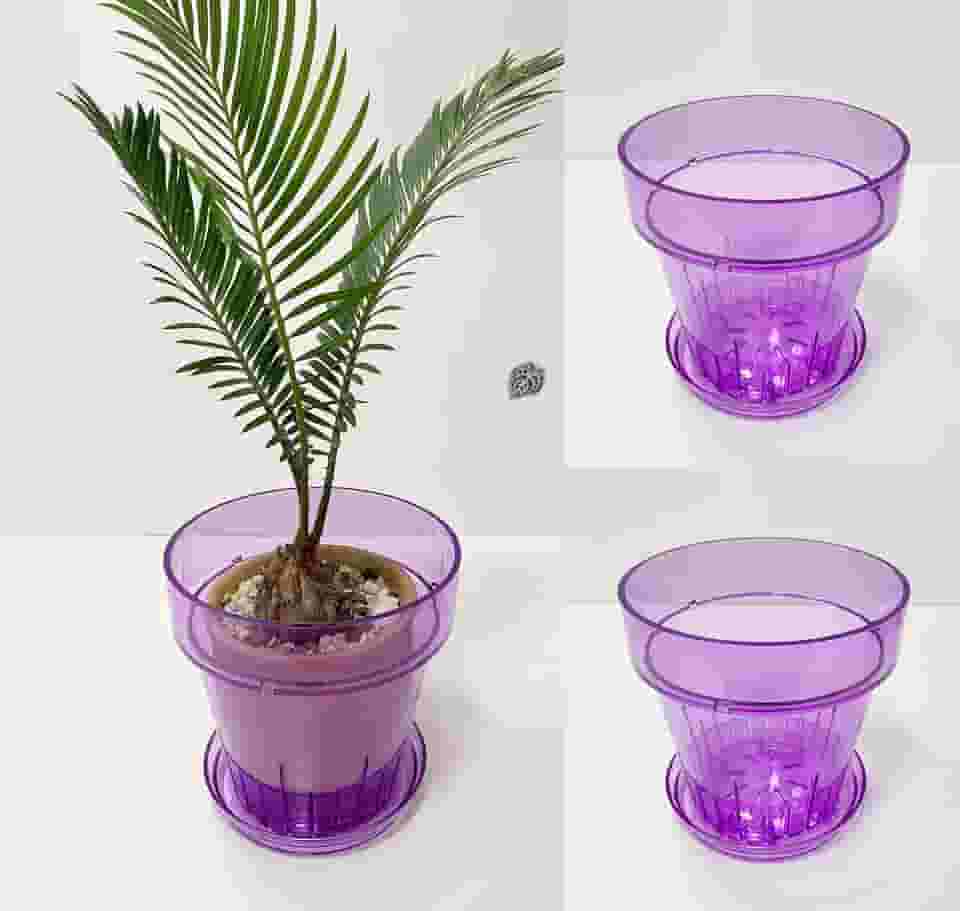 RISEON Pacote com 3 potes de orquídea de plástico acrílico transparente com furos e pires, vaso de acrílico grosso, orquídea Dendrobium Oncidium Cattleya para repotting para ambientes internos e