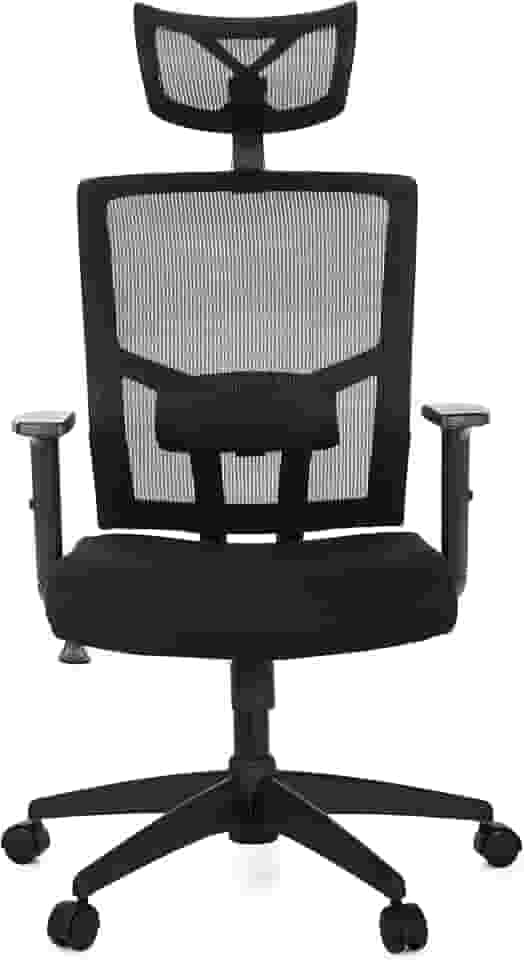 Cadeira Para Escritório Presidente Giratória Ergonômica ANM312 P