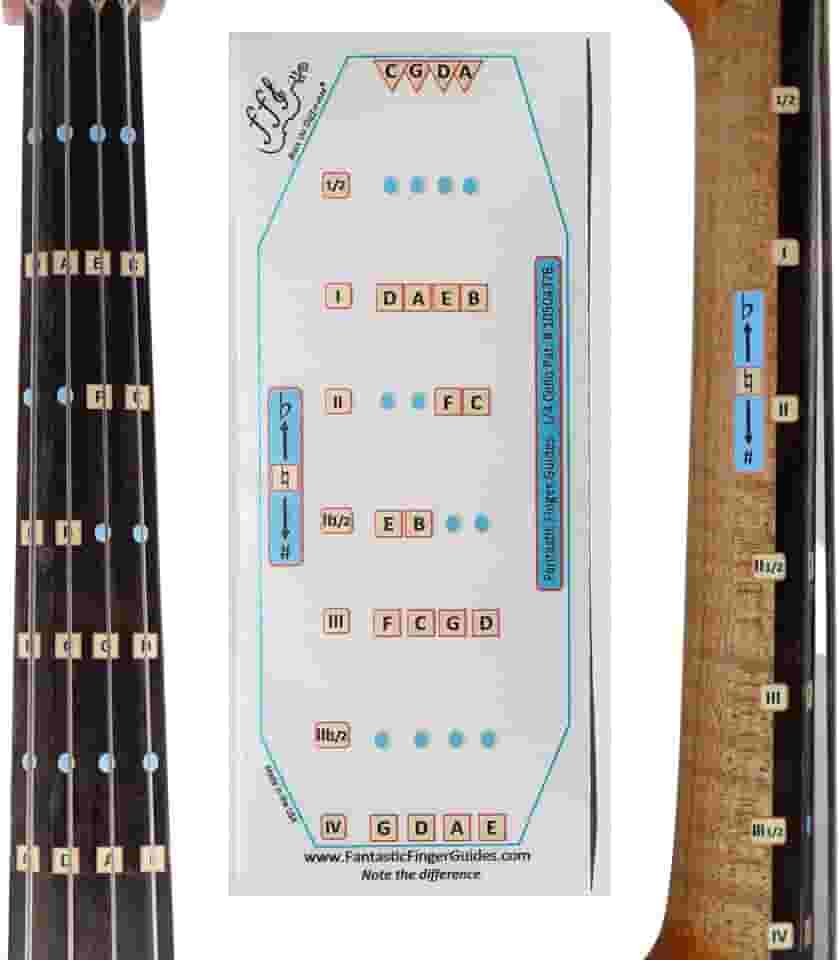Guia de dedo fantástico para violoncelos - Acessórios musicais para instrumentos de cordas, adesivos de escala e escala para aprender todas as notas, aprender a tocar violoncelo, tamanho 1/4