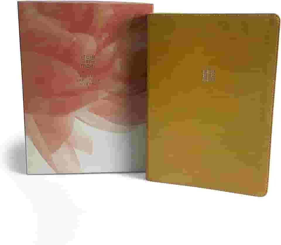 Bíblia de Estudo para Toda Mulher (NVT) - Capa Bege