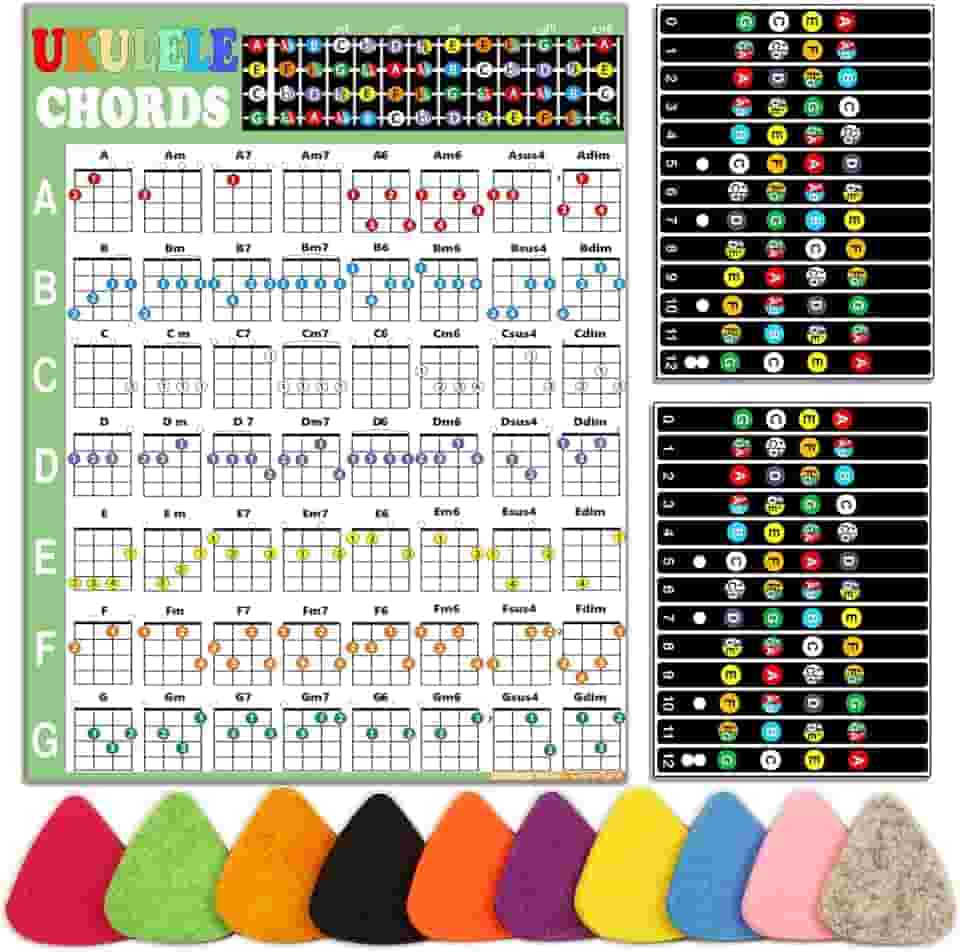 Kit de ukulele para iniciantes: gráfico de acordes, adesivos de escala, palhetas - vinil preto e branco, acessório para ukulele