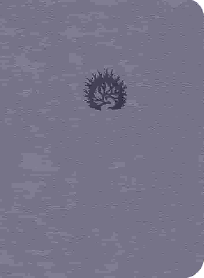 A Bíblia de Estudo da Fé Reformada: Capa Luxo Lavanda e Estojo