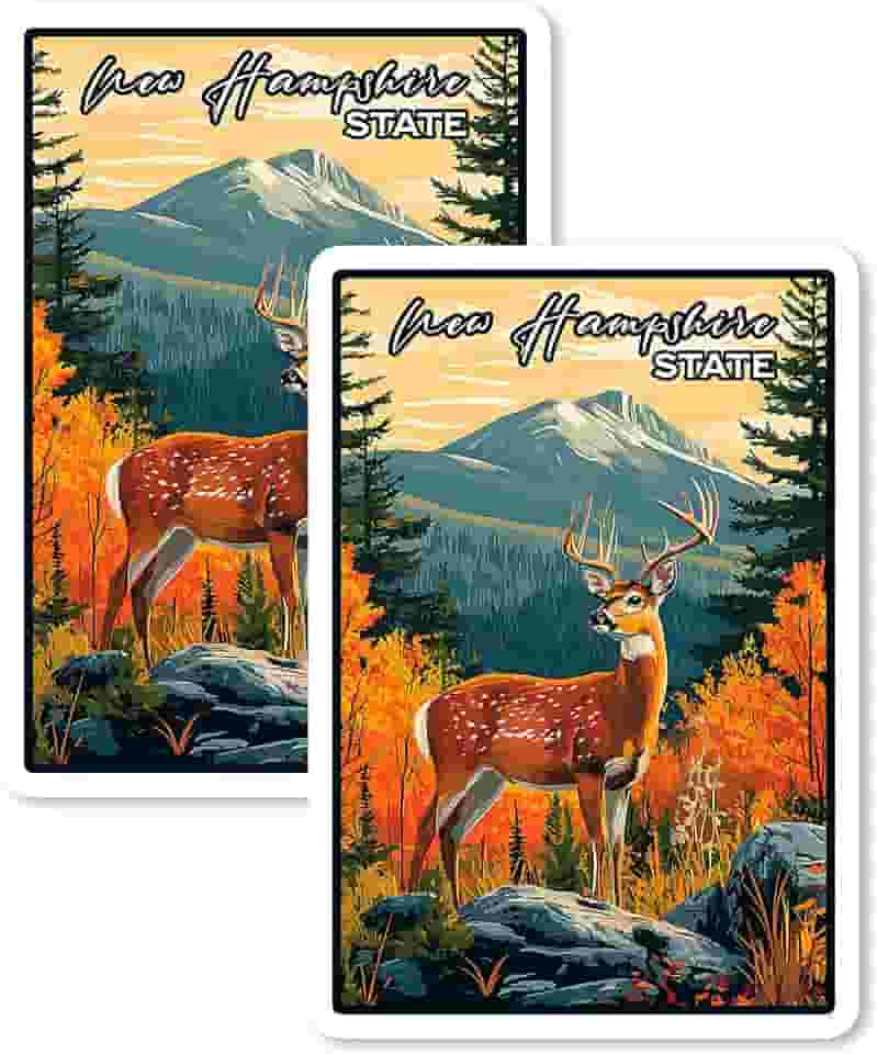 Ímã New Hampshire State 10 cm 2 pacotes de vinil para lembrança presente geladeira geladeira lava-louças ID 44999