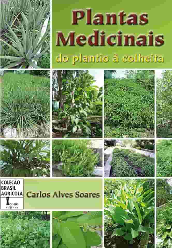 Plantas medicinais. do plantio à colheita