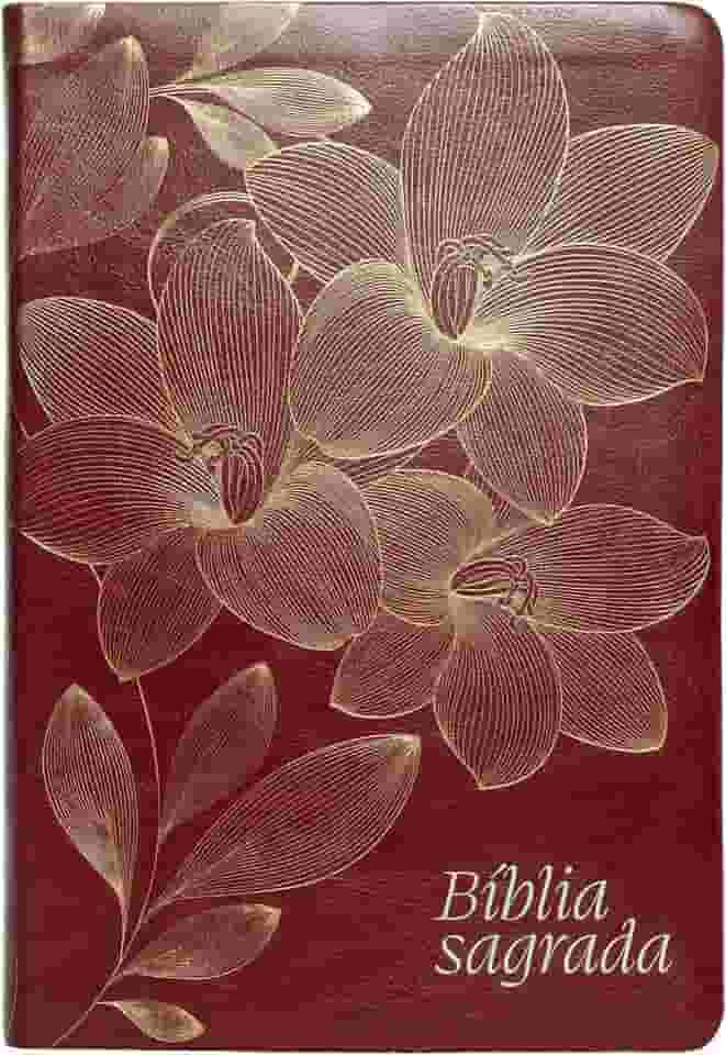 Bíblia NVI, Letra Gigante, Couro-soft vinho, Leitura Perfeita: Bíblia Sagrada Nova Versão Internacional
