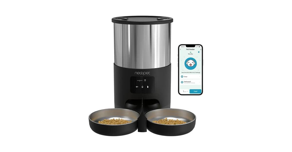 Melhor Alimentador Automático para Gato: 8 Modelos Smart