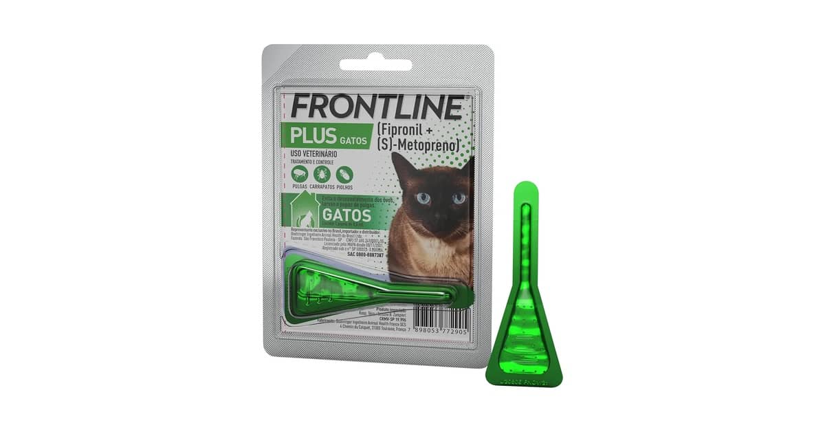 Melhor Antipulgas Para Gato: Pipeta ou Comprimido?