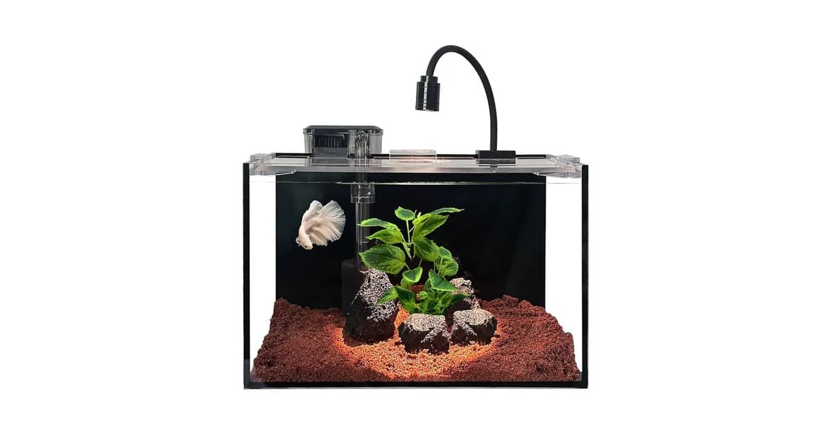 Melhor Aquário para iniciantes: Guia Completo e Escolhas Ideais