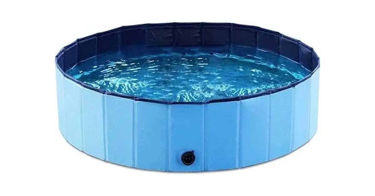 Melhor Banheiro para Cachorro: Portáteis e Piscinas