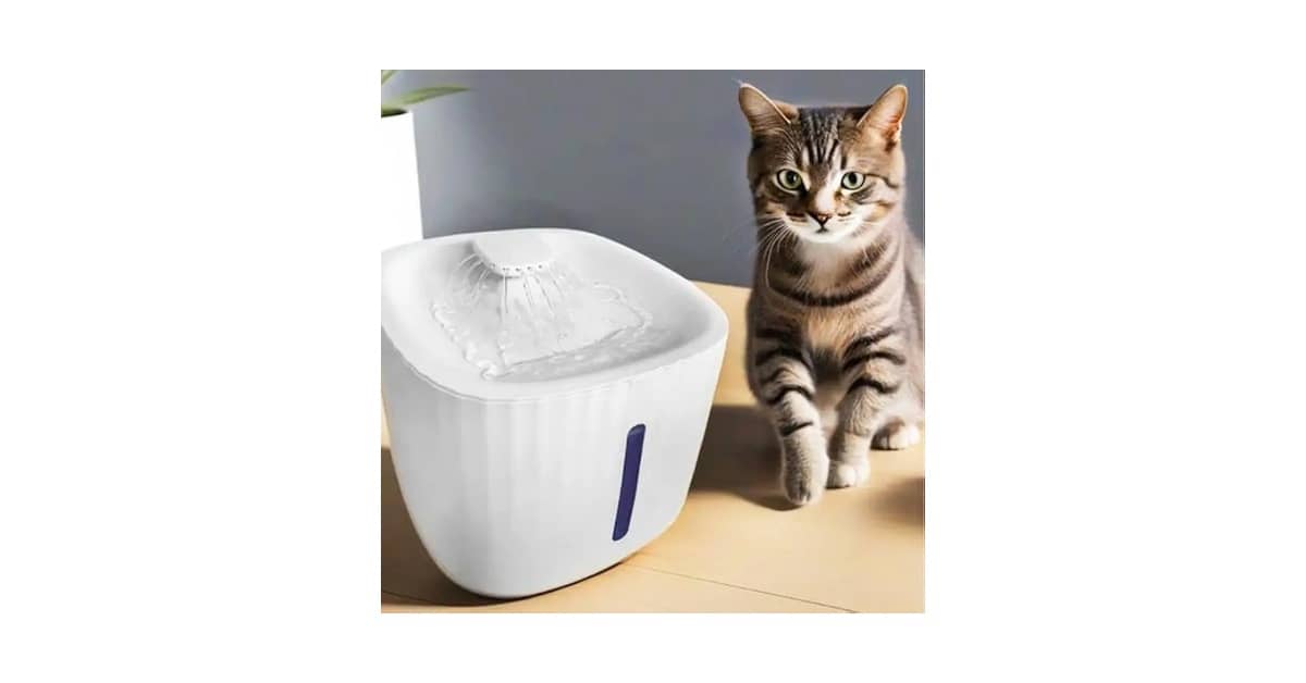 Melhor Bebedouro para Gato: Como Escolher o Ideal?