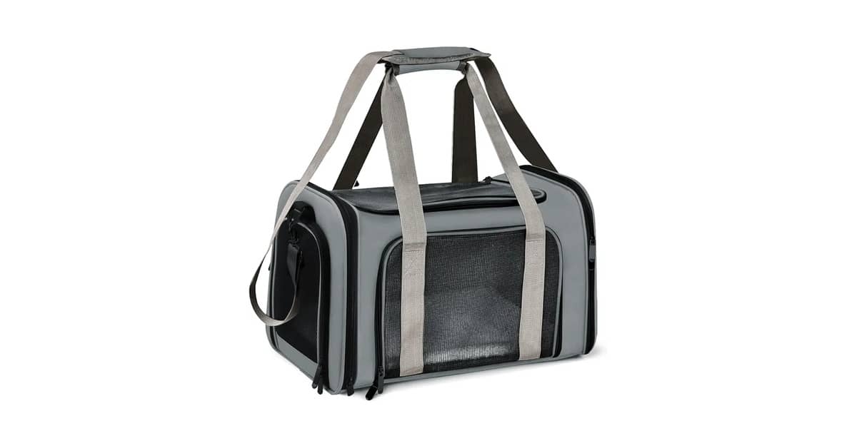 Melhor Bolsa de Transporte Para Caes de Avião?