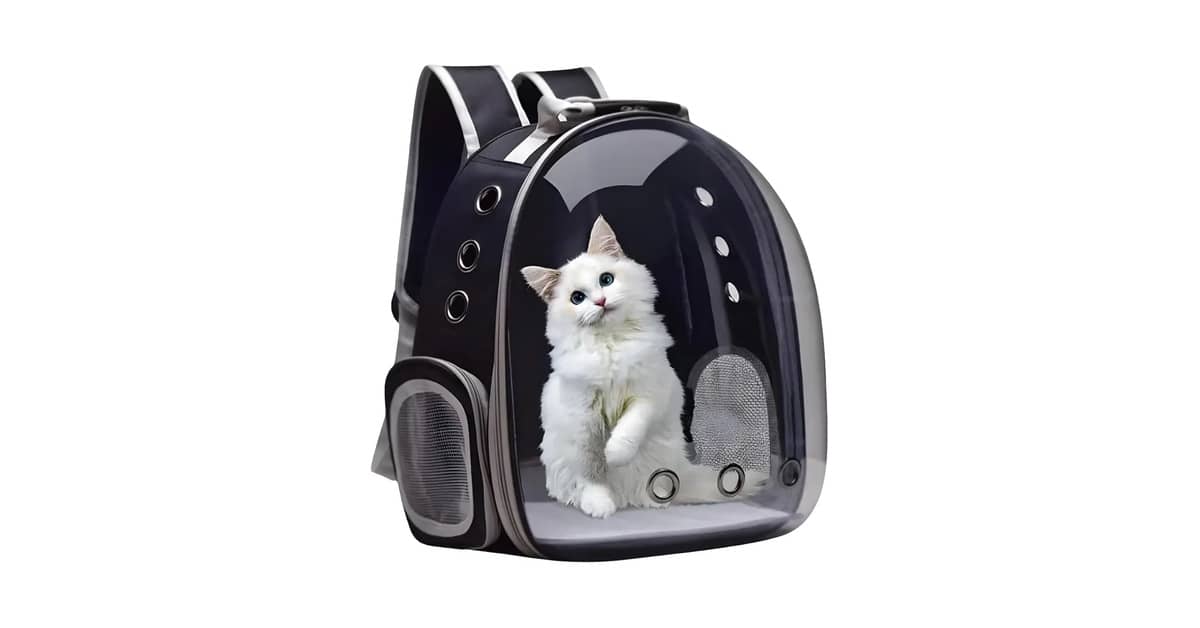Melhor Bolsa de Transporte Para Gato e Cachorro? Guia