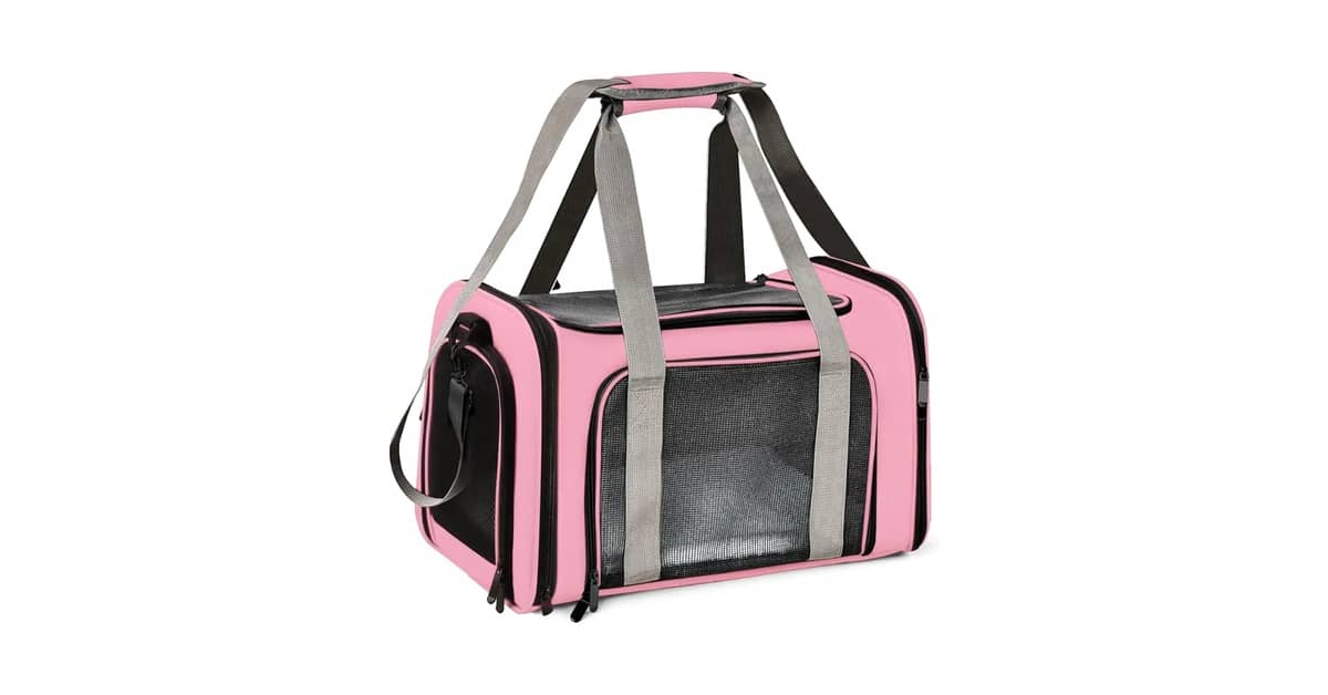 Melhor Bolsa de Transporte Para Gatos: Viagem Segura
