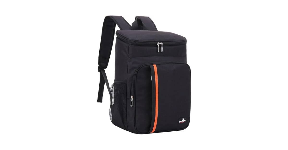 Melhor bolsa térmica cerveja: Quantas Latas Cabem?