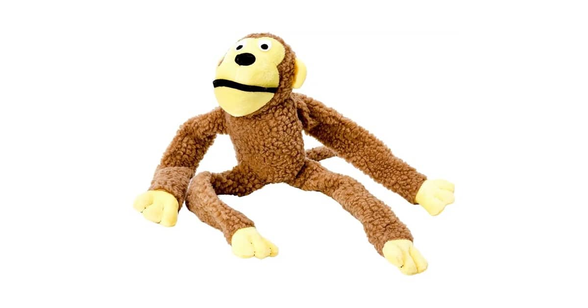 Melhor Brinquedo Para Cachorro Filhote: O Ideal Para Dentição