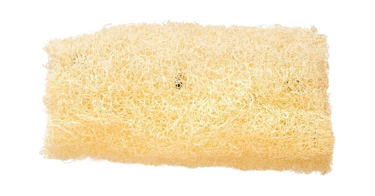 Melhor Bucha de Banho: Guia Completo Para Sua Pele