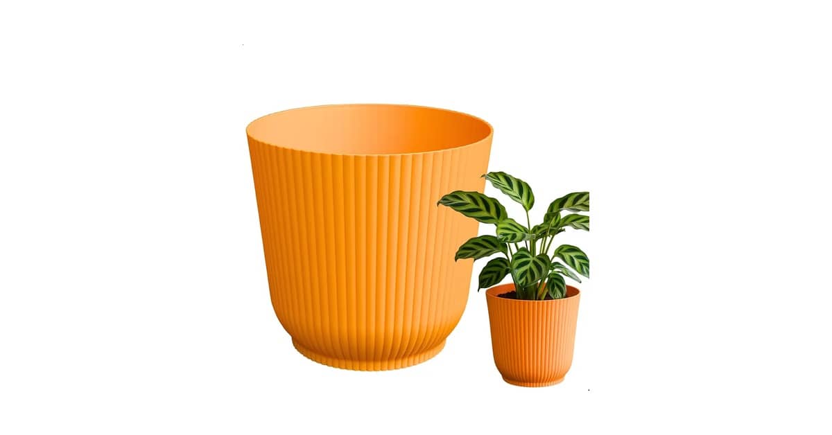 Melhor Cachepô: 10 Modelos de Alta Durabilidade