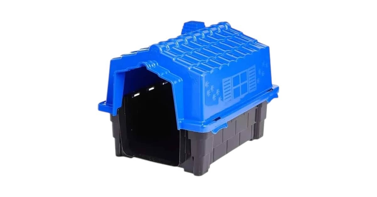 Melhor Cachorro para ter em Casa: Guia Essencial