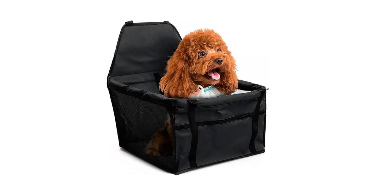Melhor Cadeirinha de Cachorro Para Viajar: É Seguro?